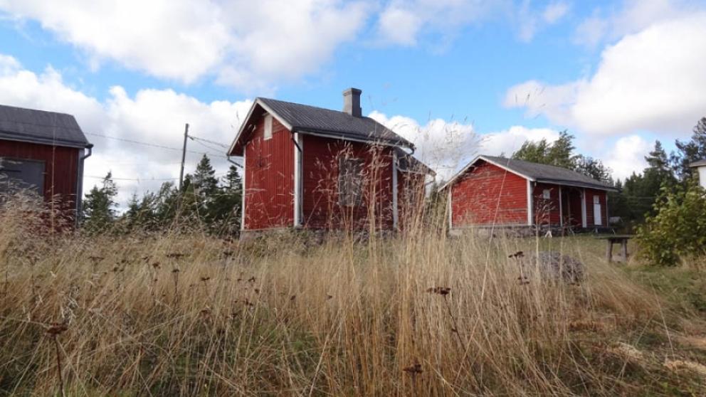 Sälgrund