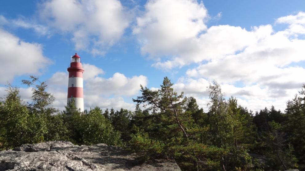Sälgrund
