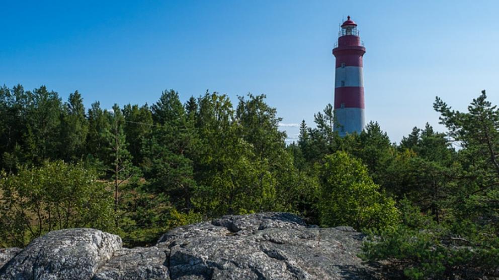 Sälgrund